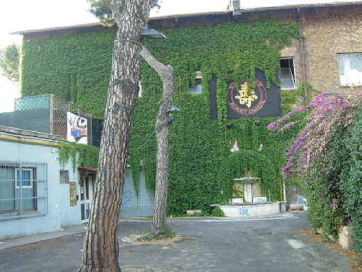 plantare-roma.JPG (540622 byte)