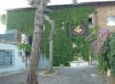Visita la sede di Roma dei corsi di riflessologia plantare cinese On Zon Su