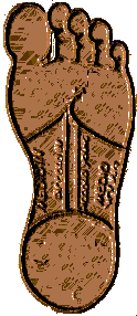 piede