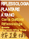 riflefano.jpg (10747 byte)