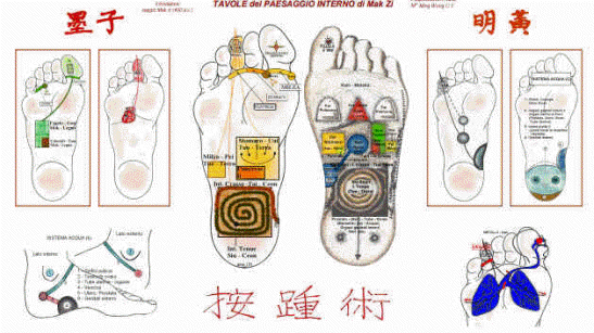 Raffigurazione di mappe del piede secondo la riflessologia plantare On Zon Su chiamata "del paesaggio interno"