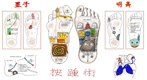 mappe della riflessologia plantare On Zon Su