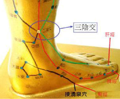 zone riflesse plantari in medicina tradizionale cinese