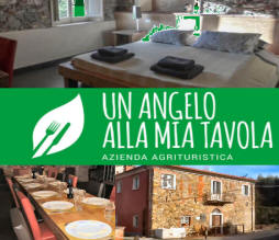 corsi riflessologia plantare liguria alloggio b&b