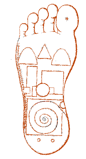 mappa plantare della riflessologia On Zon Su