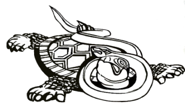 Immagine di Tartaruga e serpente, simboli dell'equilibrio e dell'armonia.